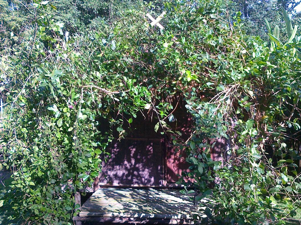 Hotel Pai Bamboo Hut Pokoj fotografie