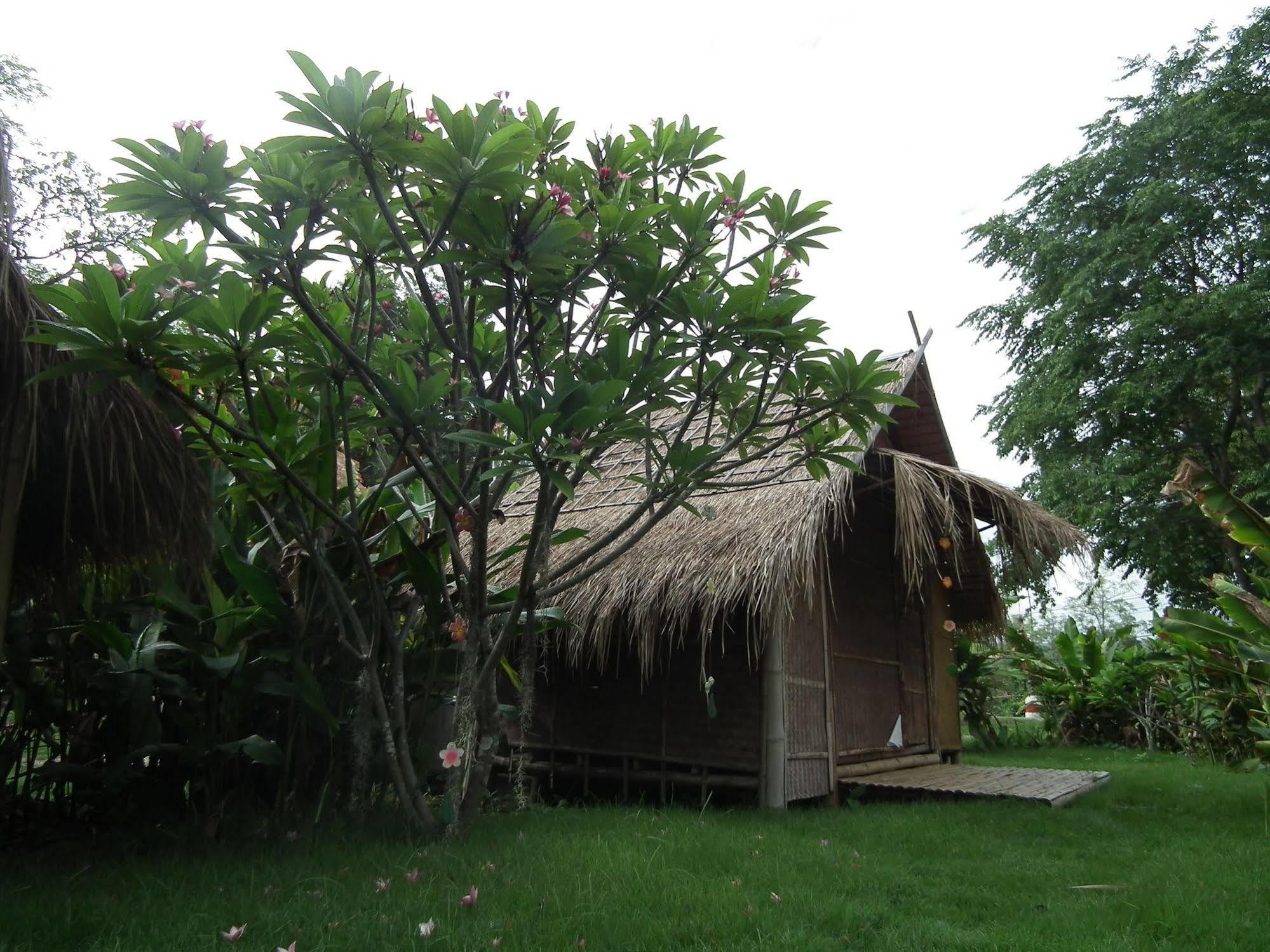 Hotel Pai Bamboo Hut Exteriér fotografie