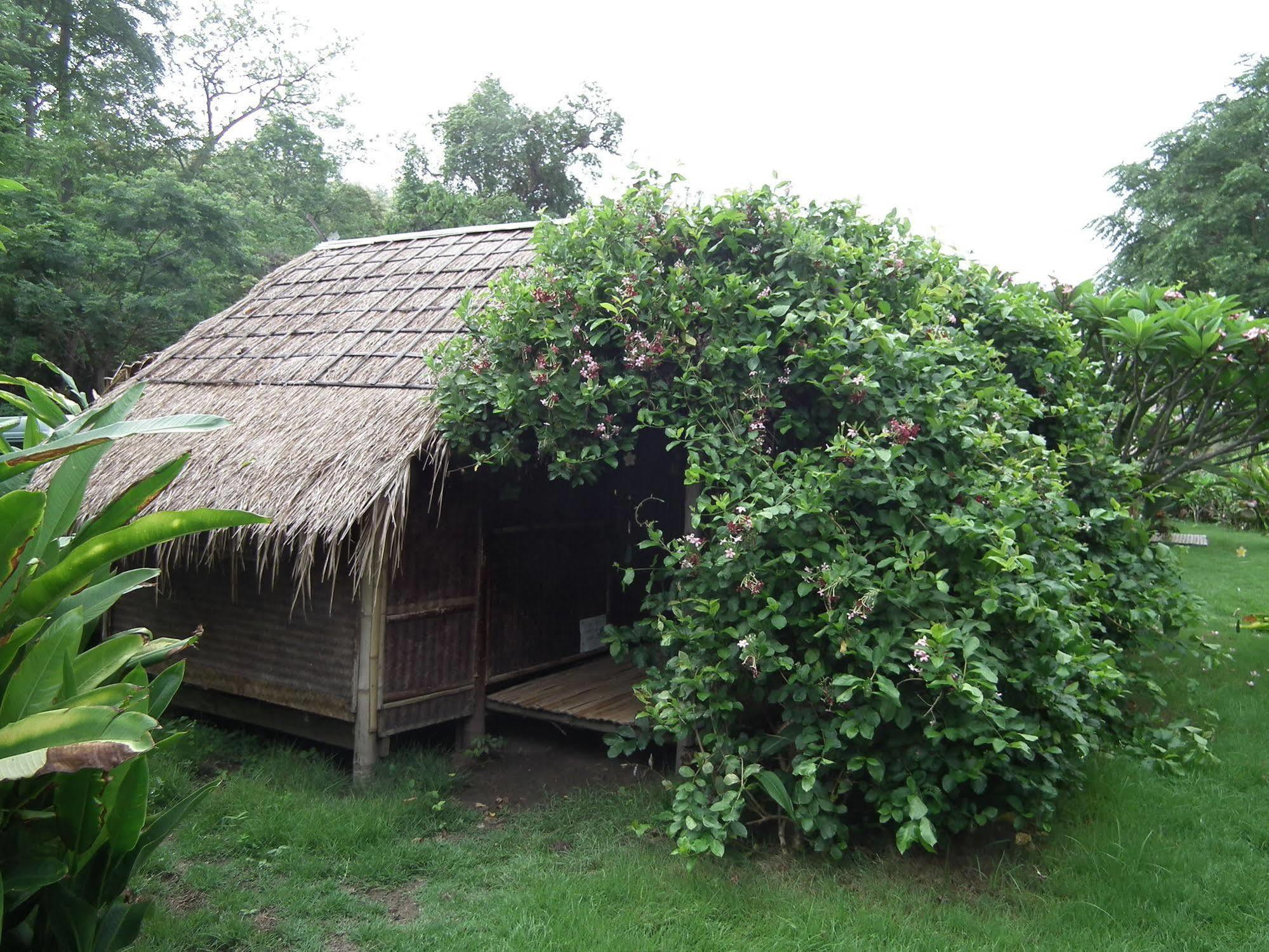 Hotel Pai Bamboo Hut Exteriér fotografie